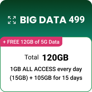 Big Data 499 w/ FREE 12 GB 5G Data